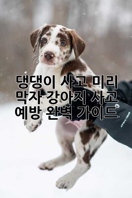 댕댕이 사고, 미리 막자! 강아지 사고 예방 완벽 가이드