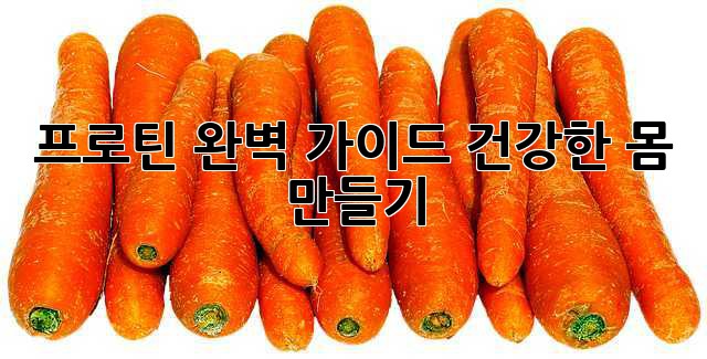 프로틴 완벽 가이드: 건강한 몸 만들기