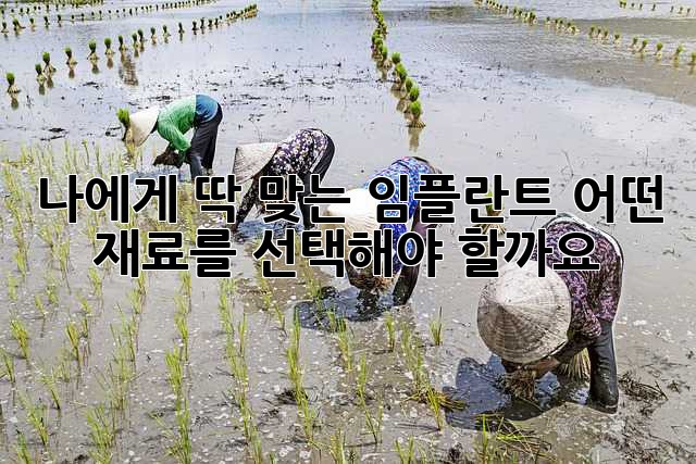 나에게 딱 맞는 임플란트, 어떤 재료를 선택해야 할까요?