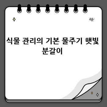 식물 관리의 기본 물주기 햇빛 분갈이