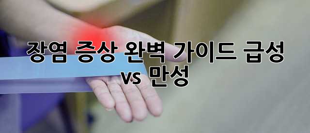 장염 증상 완벽 가이드: 급성 vs 만성
