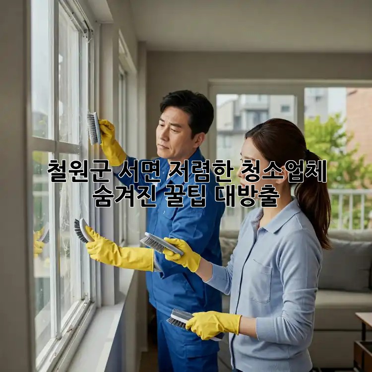 철원군 서면 저렴한 청소업체, ✨숨겨진 꿀팁🍯 대방출!