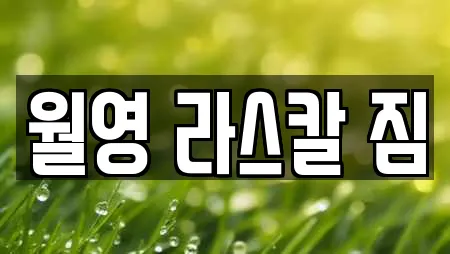 월영 라스칼 짐