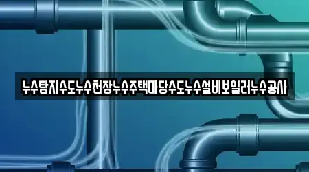 누수탐지수도누수천장누수주택마당수도누수설비보일러누수공사