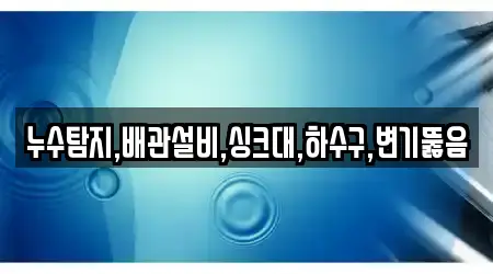 누수탐지,배관설비,싱크대,하수구,변기뚫음