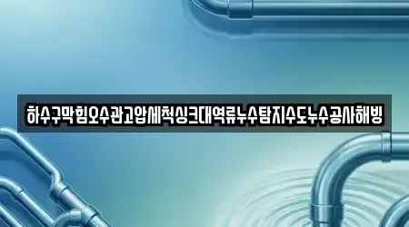 하수구막힘오수관고압세척싱크대역류누수탐지수도누수공사해빙