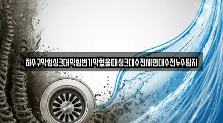 하수구막힘싱크대막힘변기막혔을때싱크대수전세면대수전누수탐지