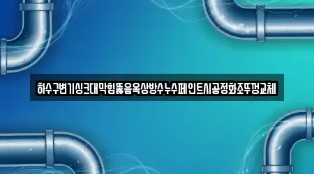 하수구변기싱크대막힘뚫음옥상방수누수페인트시공정화조뚜껑교체