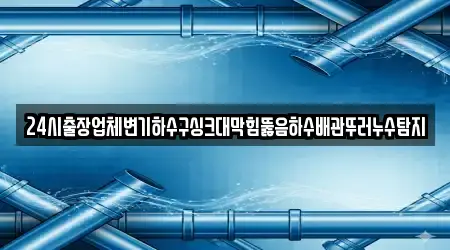 24시출장업체변기하수구싱크대막힘뚫음하수배관뚜러누수탐지
