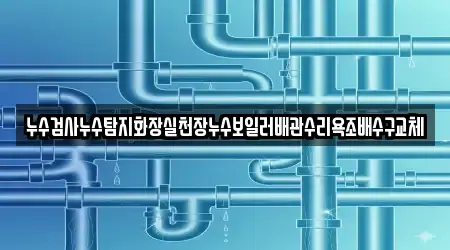 누수검사누수탐지화장실천장누수보일러배관수리욕조배수구교체