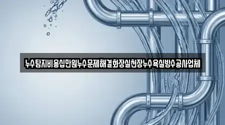누수탐지비용십만원누수문제해결화장실천장누수욕실방수공사업체