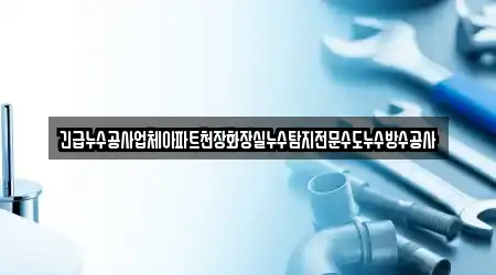 긴급누수공사업체아파트천장화장실누수탐지전문수도누수방수공사