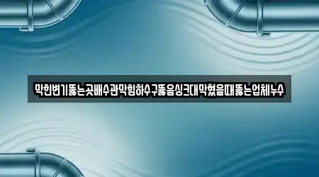 막힌변기뚫는곳배수관막힘하수구뚫음싱크대막혔을때뚫는업체누수