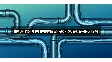 하수구막힘싱크대변기막힘역류뚫는곳수리수도꼭지욕조배수구교체