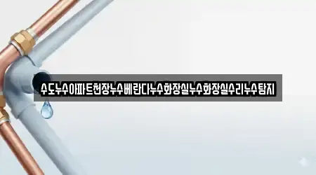 수도누수아파트천장누수베란다누수화장실누수화장실수리누수탐지
