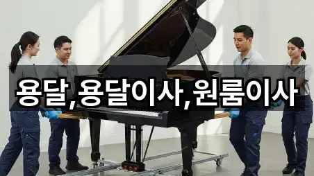 컬렉션 | 대전 유성구 교촌동 용달이사 5곳