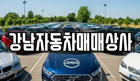 강원 강릉시 박월동 중고차매매 전문 강남자동차매매상사