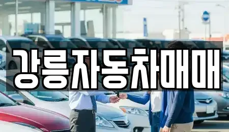 강원 강릉시 박월동 중고차매매 전문 강릉자동차매매