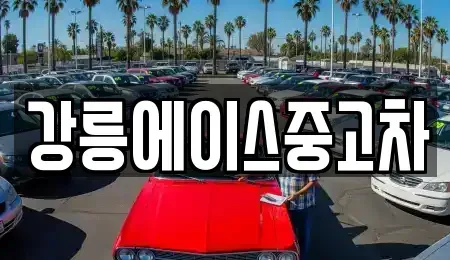 강원 강릉시 지변동 중고차 전문 강릉에이스중고차
