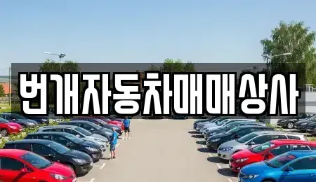 강원 강릉시 지변동 중고차매매 전문 번개자동차매매상사
