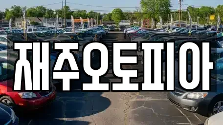 강원 강릉시 지변동 중고차매매 전문 재주오토피아