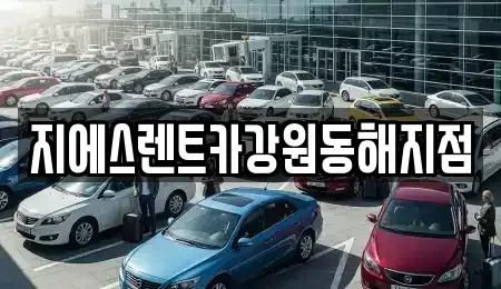 강원 동해시 효가동 렌트카 전문 지에스렌트카강원동해지점