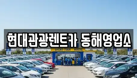 강원 동해시 효가동 장기렌트카 전문 현대관광렌트카 동해영업소