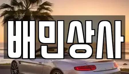 강원 동해시 효가동 중고차 전문 배민상사