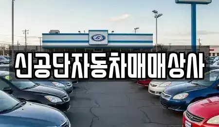 강원 동해시 효가동 중고차,렌트카,중고차매입,중고차매매,장기렌트카,단기렌트카
