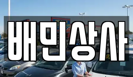 강원 삼척시 교동 중고차매매 전문 배민상사