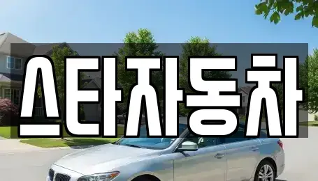 강원 삼척시 교동 중고차매매 전문 스타자동차