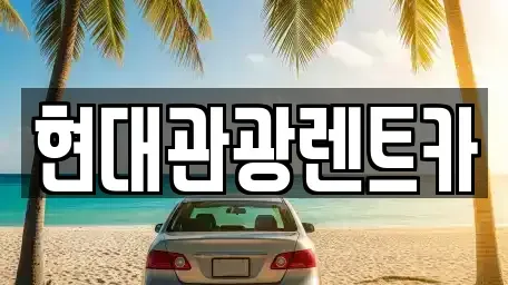 강원 속초시 대포동 렌트카 전문 현대관광렌트카
