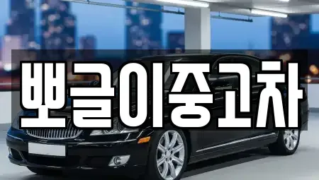 강원 속초시 대포동 중고차매매 전문 뽀글이중고차