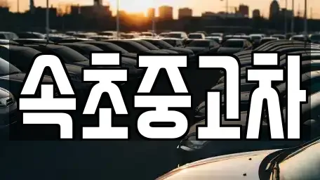 강원 속초시 대포동 중고차매매 전문 속초중고차