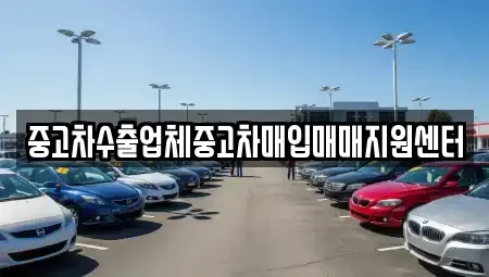 강원 속초시 대포동 중고차매입 전문 중고차수출업체중고차매입매매지원센터