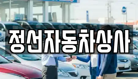 강원 정선군 정선읍 중고차 전문 정선자동차상사