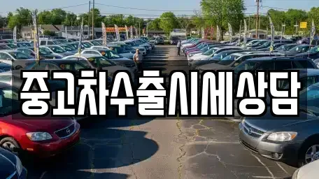 강원 정선군 정선읍 중고차 전문 중고차수출시세상담