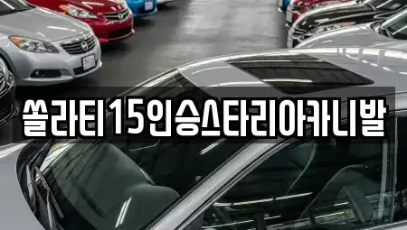 강원 춘천시 신북읍 렌트카 전문 쏠라티15인승스타리아카니발
