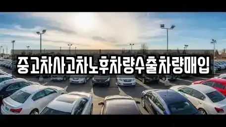 강원 춘천시 신북읍 중고차매입 전문 중고차사고차노후차량수출차량매입