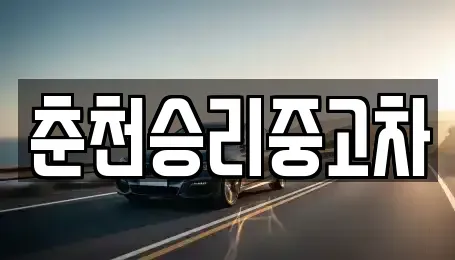 강원 춘천시 중고차 전문 춘천승리중고차