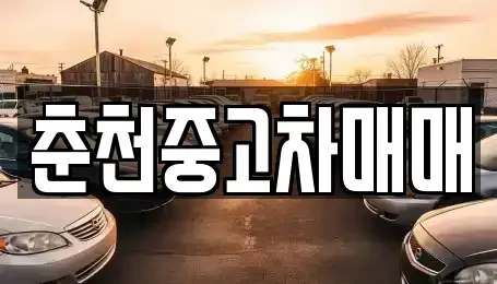강원 춘천시 중고차 전문 춘천중고차매매