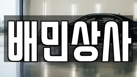 강원 평창군 용평면 중고차매매 전문 배민상사