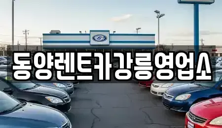 강원특별자치도 강릉시 난곡동 렌트카 전문 동양렌트카강릉영업소