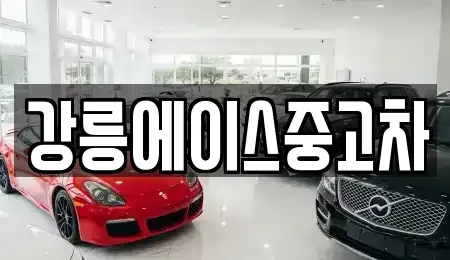 강원특별자치도 강릉시 난곡동 중고차 전문 강릉에이스중고차