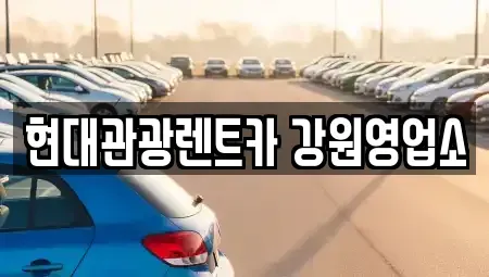 강원특별자치도 강릉시 유천동 렌트카,단기렌트카,장기렌트카,중고차,중고차매매,중고차매입