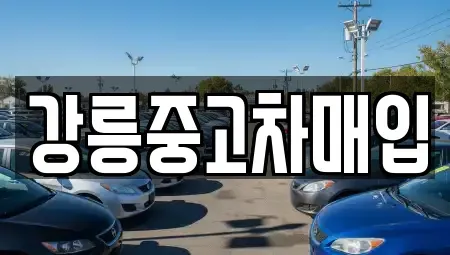 강원특별자치도 강릉시 유천동 중고차 전문 강릉중고차매입