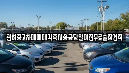강원특별자치도 강릉시 유천동 중고차 전문 관허중고차매매매각즉시송금당일이전무료출장견적