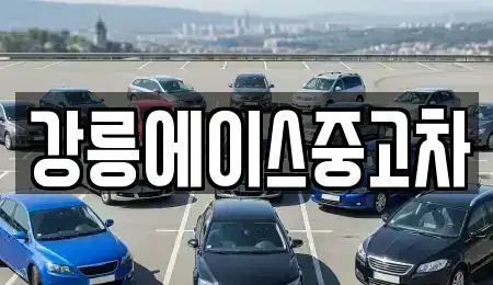 강원특별자치도 강릉시 중고차 전문 강릉에이스중고차