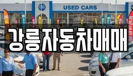 강원특별자치도 강릉시 중고차 전문 강릉자동차매매