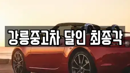 강원특별자치도 강릉시 중고차 전문 강릉중고차 달인 최종각
